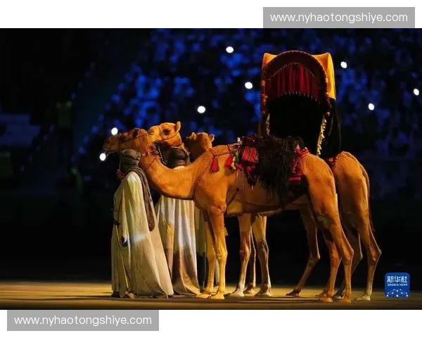 世界杯开幕式直播精彩呈现 各国明星与激情赛事齐聚盛会